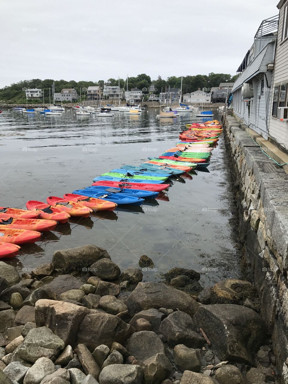 Kayaks lined up in harbor in Rockport