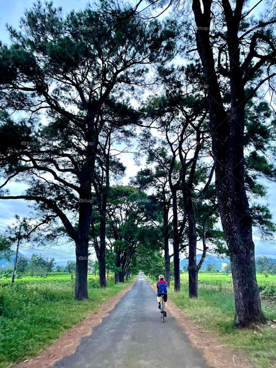 editors' choice: photos of the week