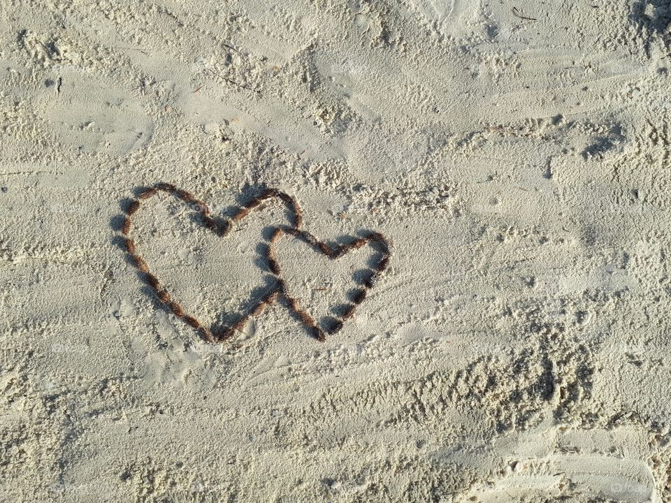 Hearts from the spines at the sand beach. Romantic card