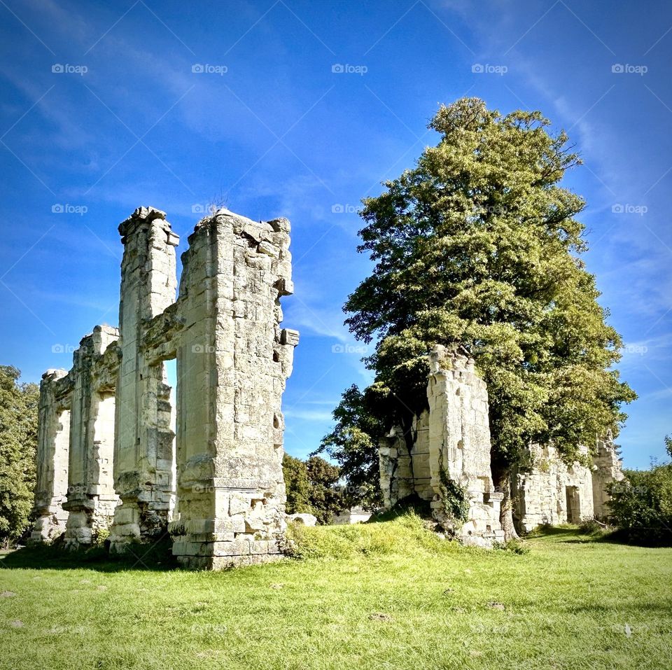 Ruine du Château Royal de Montceaux Lès Meaux , Octobre 2023 . 