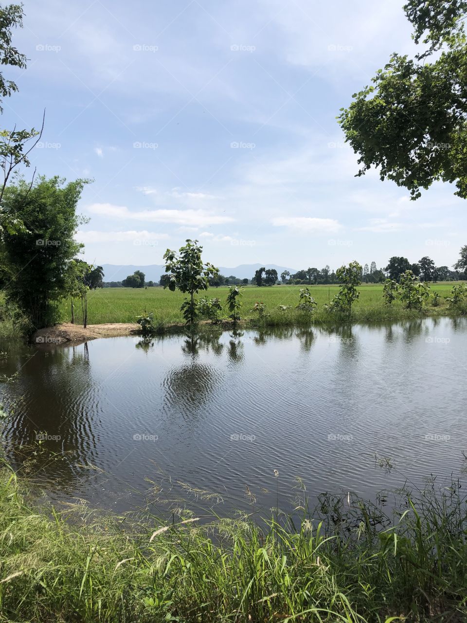 The stories of the nature , Countryside (Thailand)