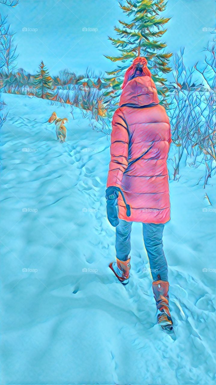 hiking in snow with dogs