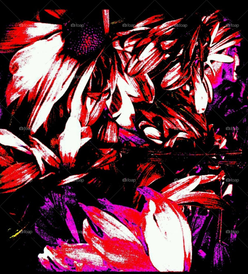 dreaming in color. lighting effects