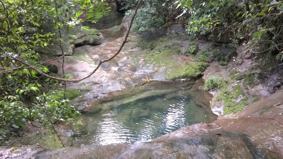 An oasis in the woods inside the city.