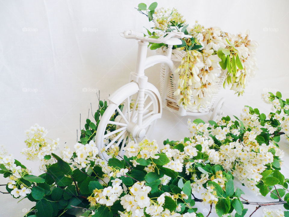 toy decorated bicycle with acacia flowers on a white background