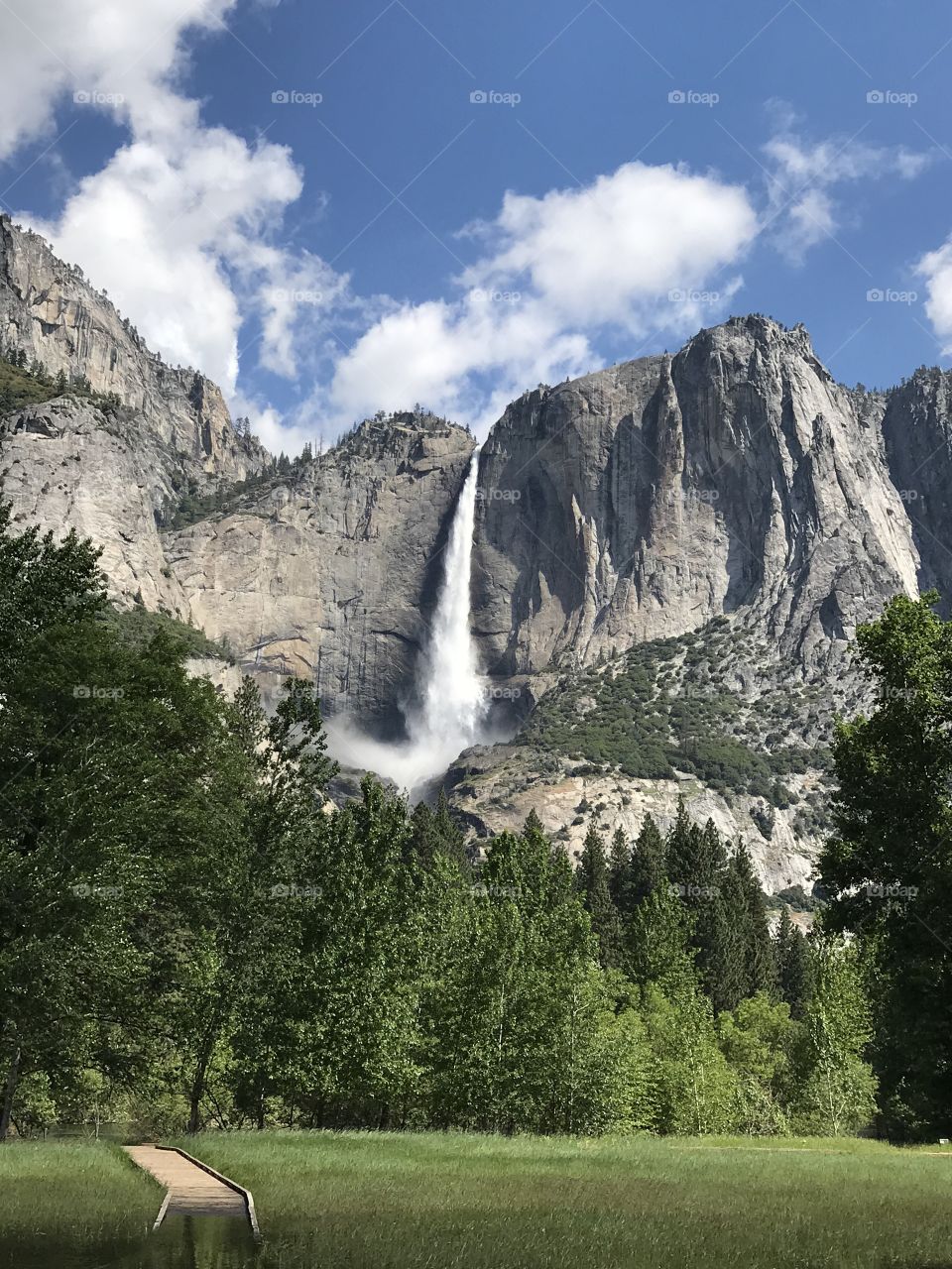 Yosemite National Park