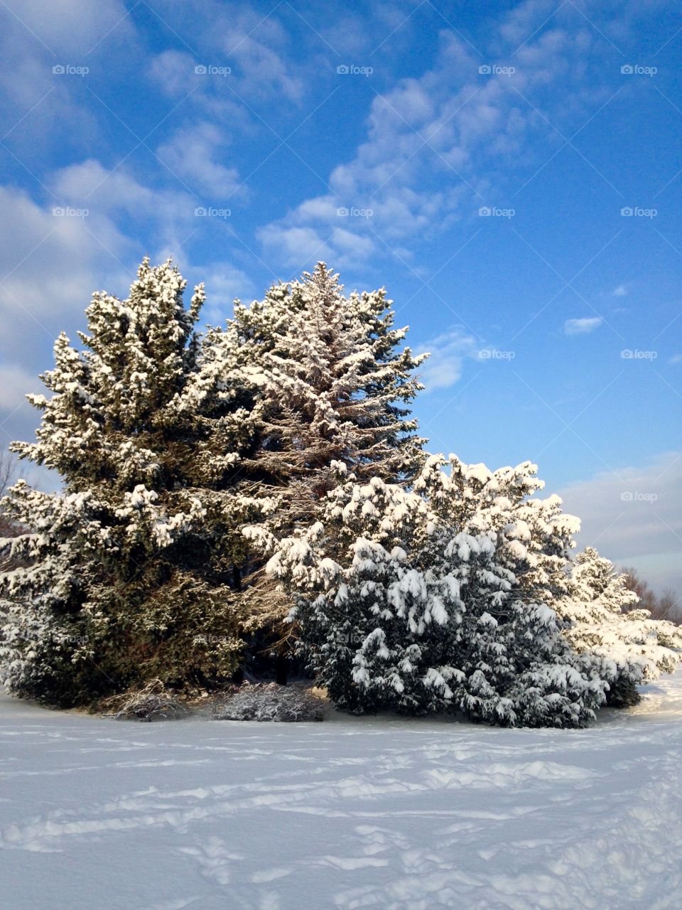 Winter in northern Poland 