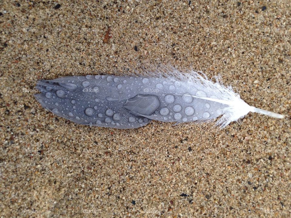 Wet feather