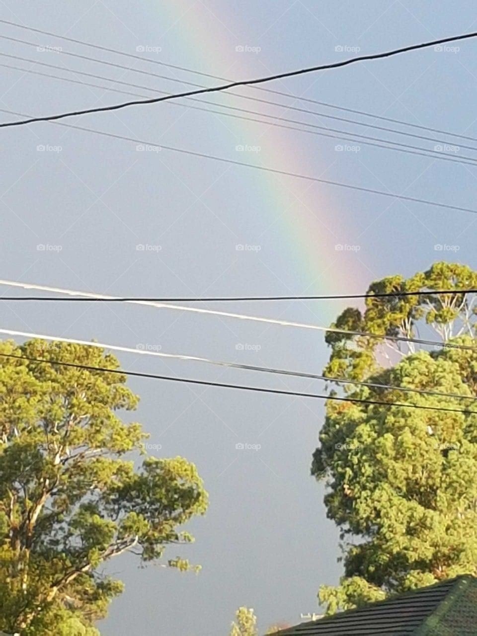 Rainbow From The Heavens