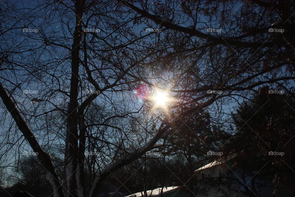 The sun after the NJ16 blizzard 