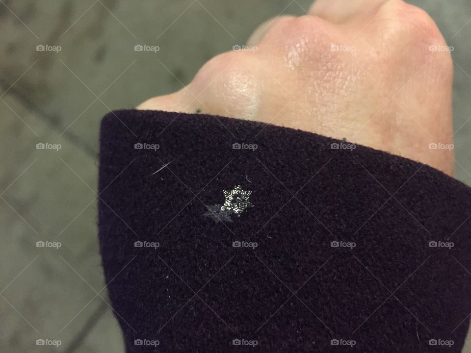 Minimalist images 
Snowflake on wool coat
Pittsford NY