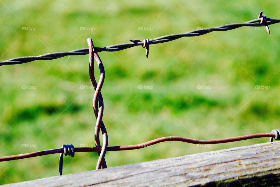 Minimalistic Snaps - barbed wire 