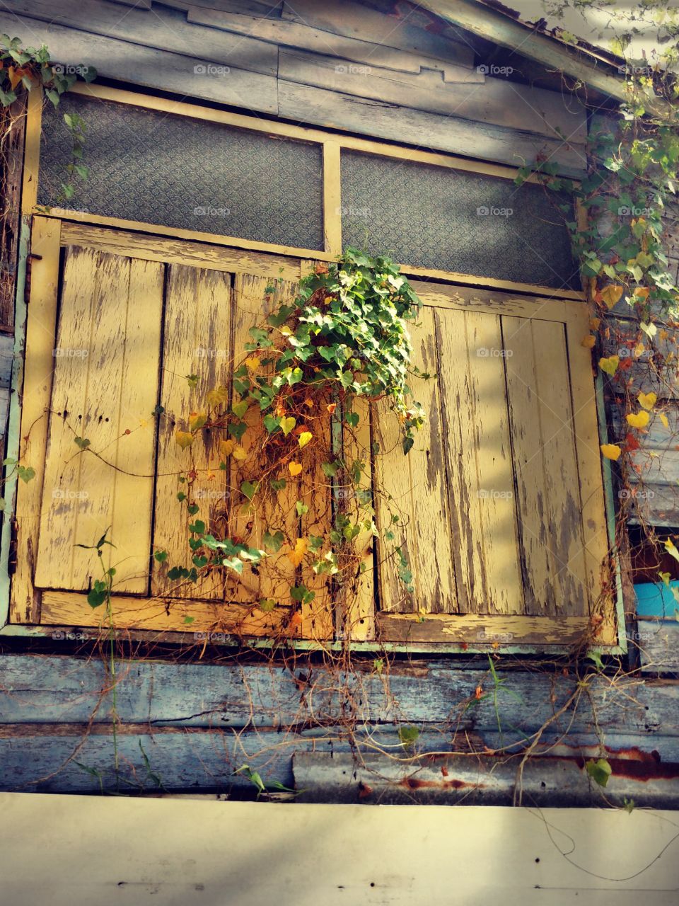 windows from around the world. the pndows from the the old house