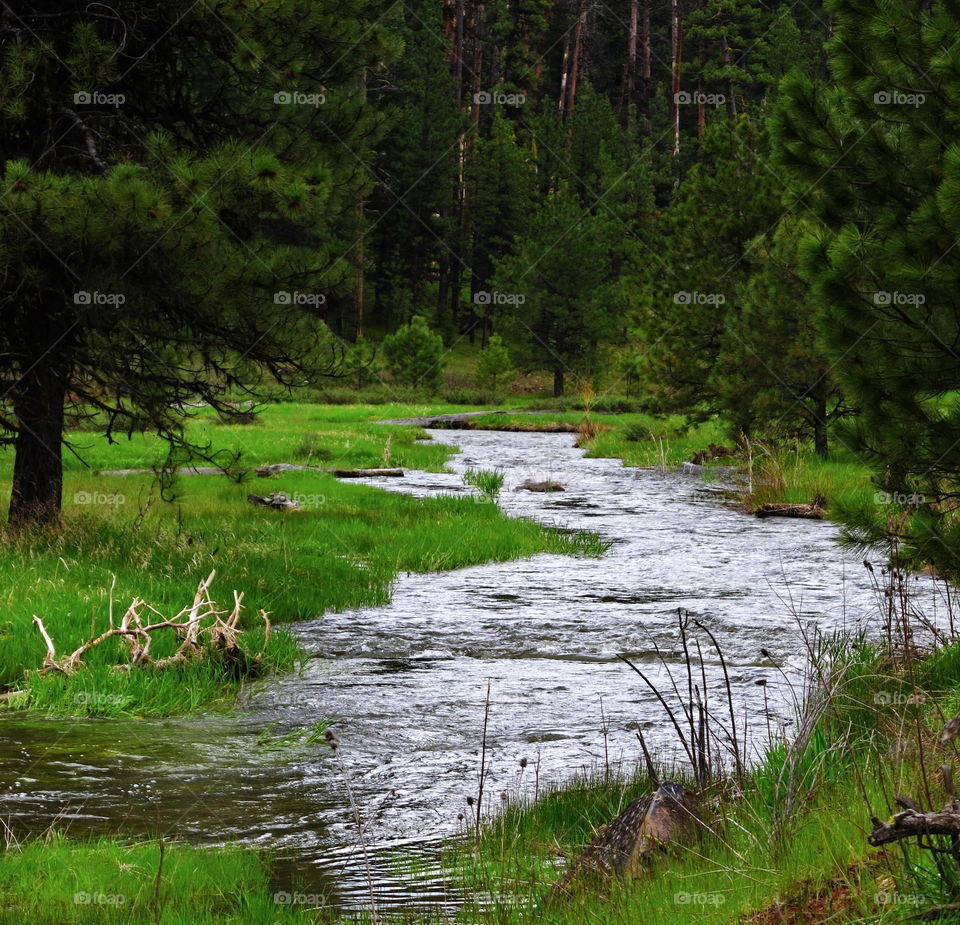 Deschutes river in oregon