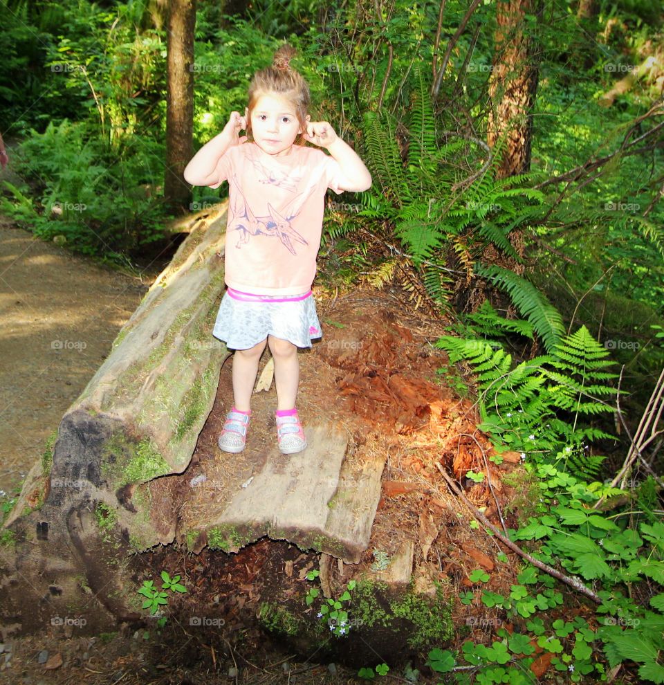 Hear no evil... especially any noise about leaving the forest and going home. toddler girl standing on a log with her ears plugged