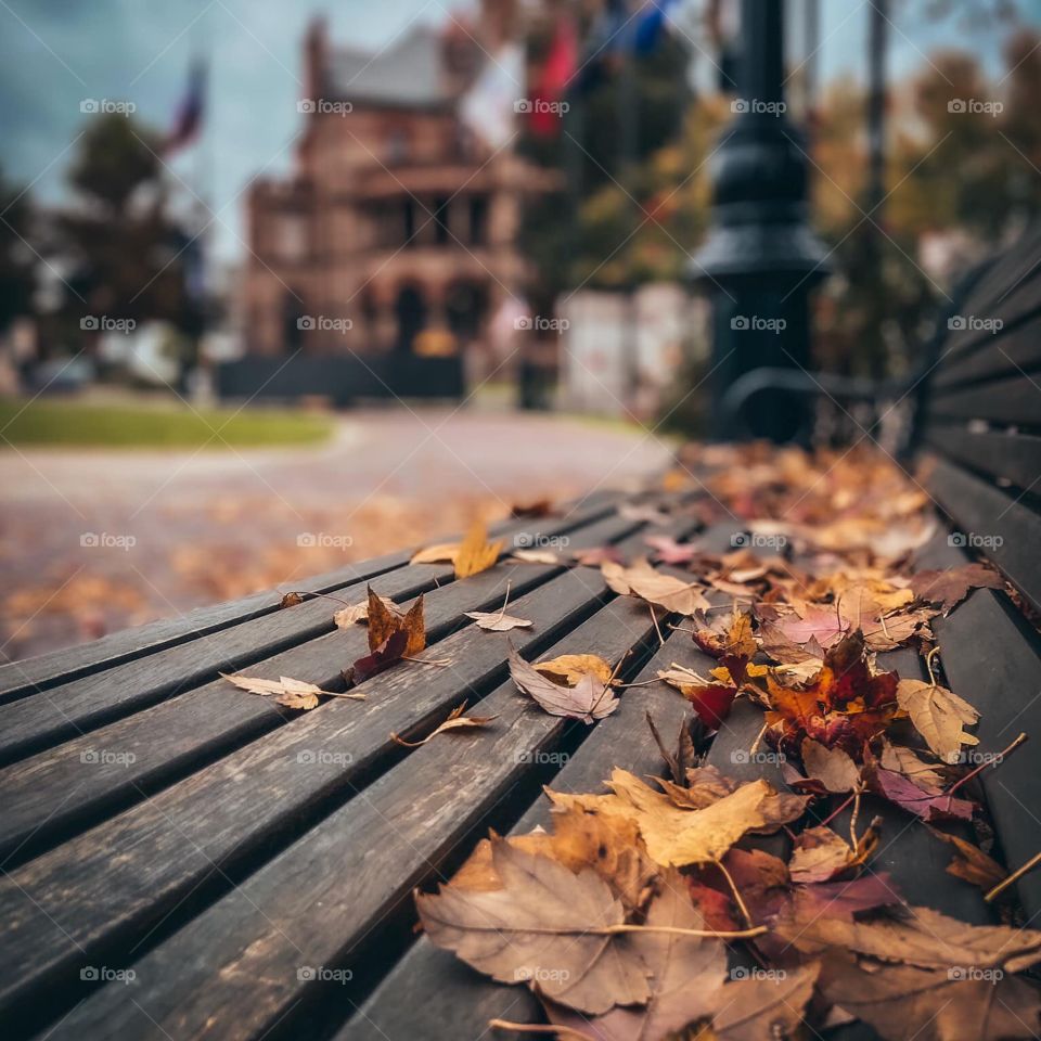 Who will enjoy the Winter time