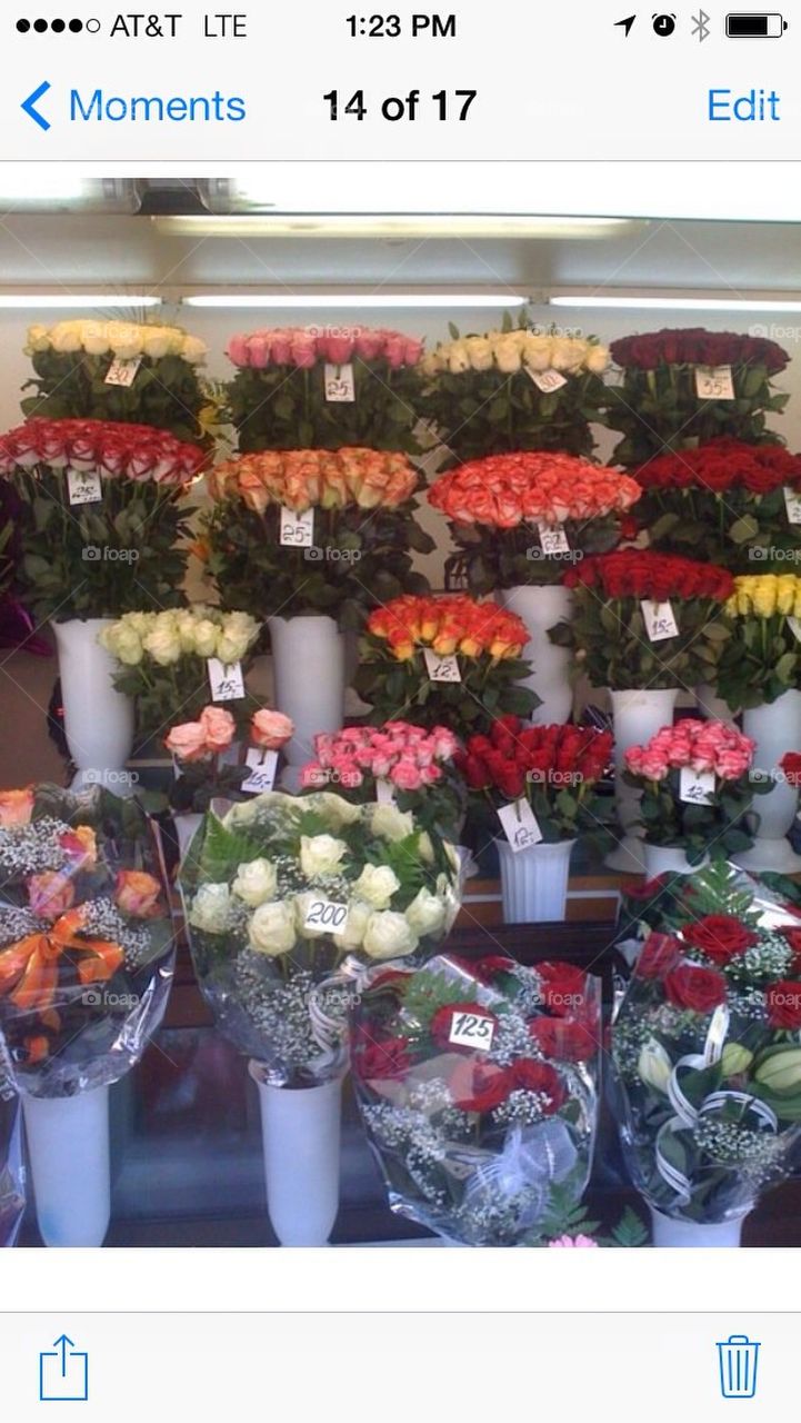 Flower market European