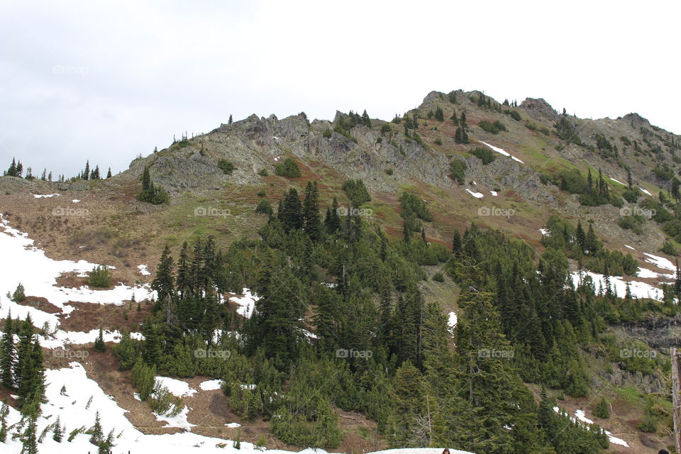 Chinook pass