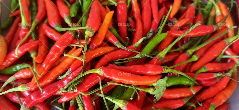 Red chillies