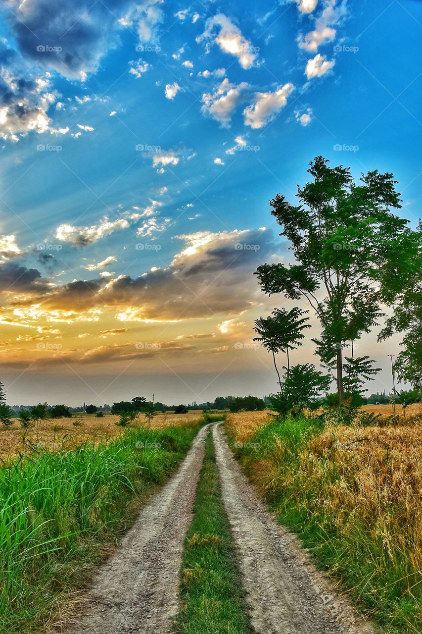 sundown in landscape