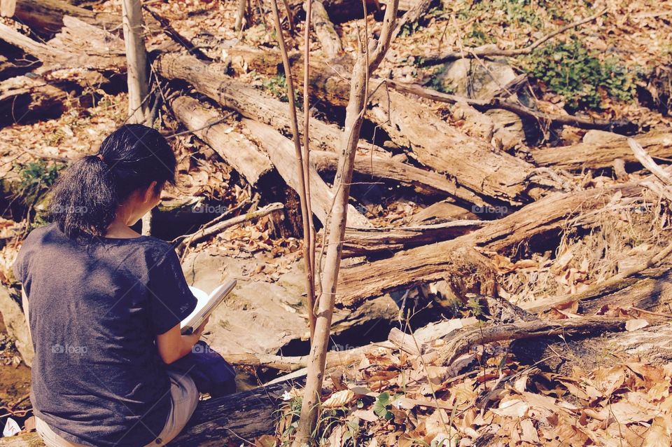 Reading in the Woods