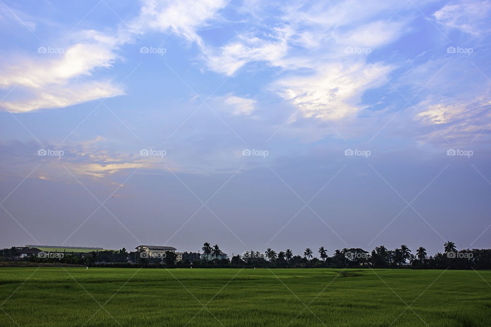 Beautiful light of Sunset with clouds in the sky reflection behind the building and paddy fields.