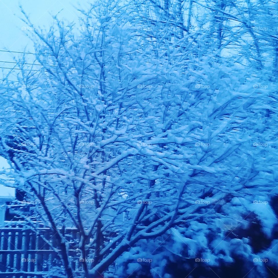 A Blue Moment in Time