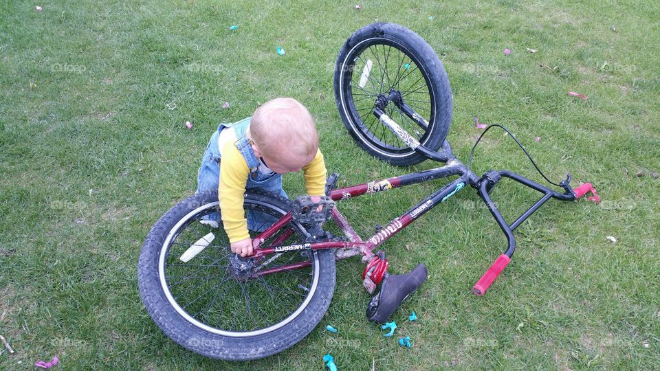 little boy trying to be a big boy picking up the bicycle