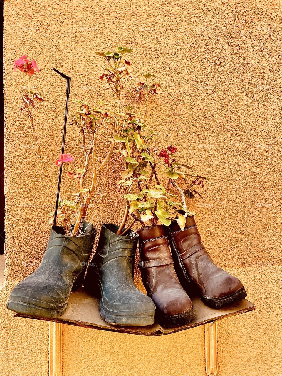 Shoes as vases