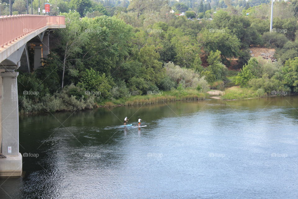 paddle board River play