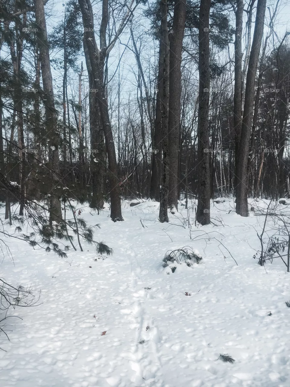 Snow 