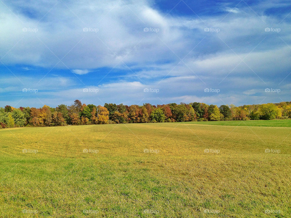 landscape sky green field by somebeach