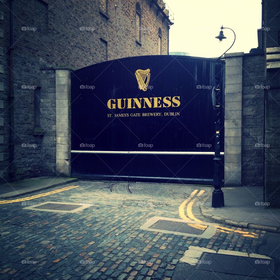 Guinness factory 
