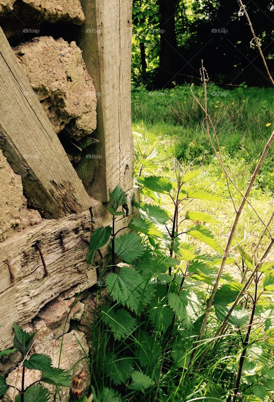 Old things with a story