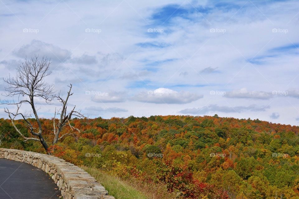 Autumn landscape