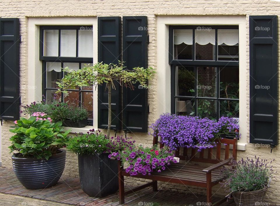 Typical Dutch street in Haarlem. Dutch windows