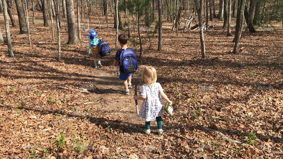 Children walking through the woods on a sunny day.