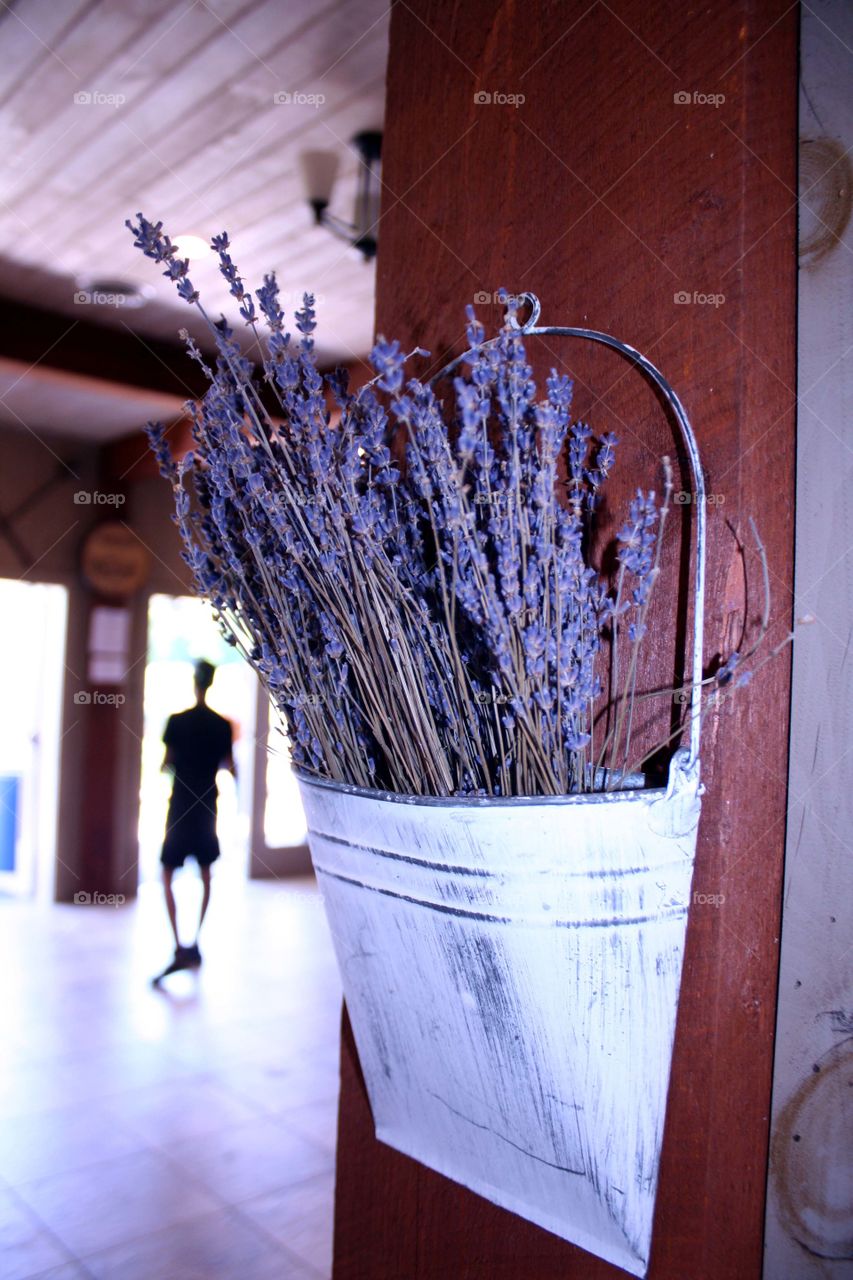 Gift shop on lavender farm