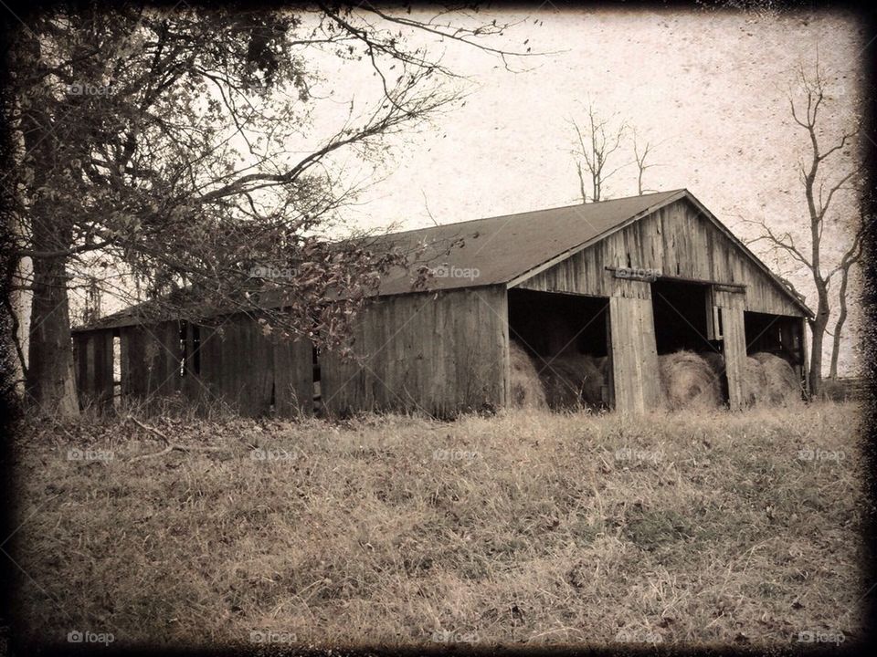 Old hay barn