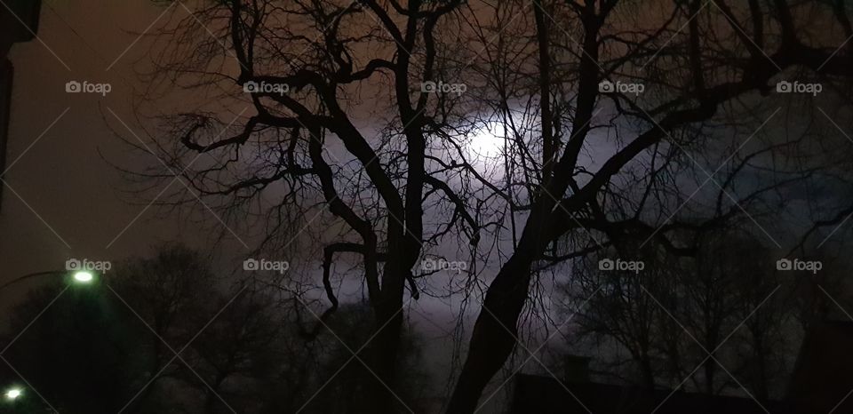 beautiful Oslo Norway