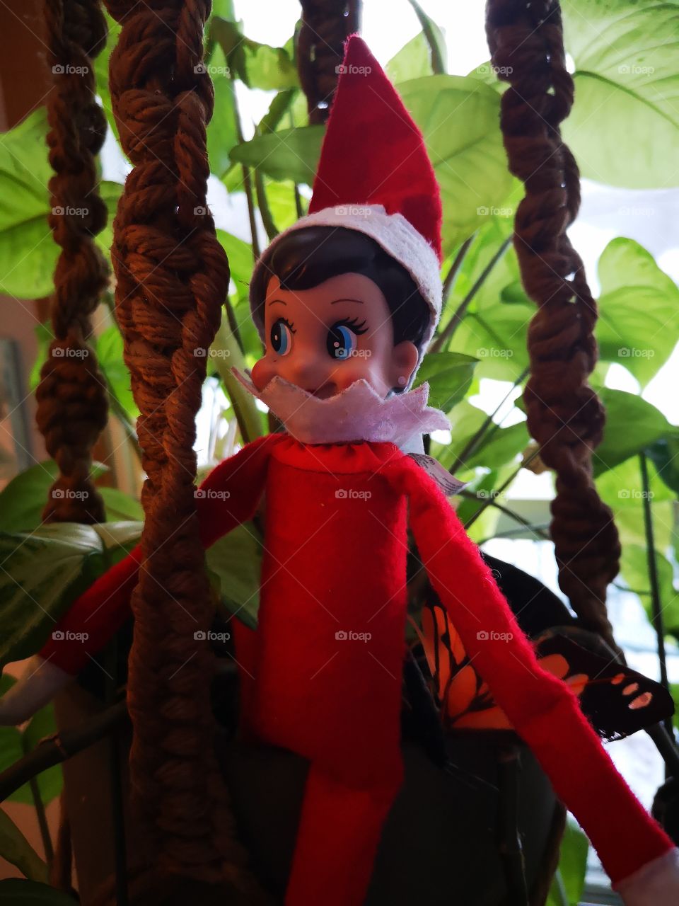 elf in a plant