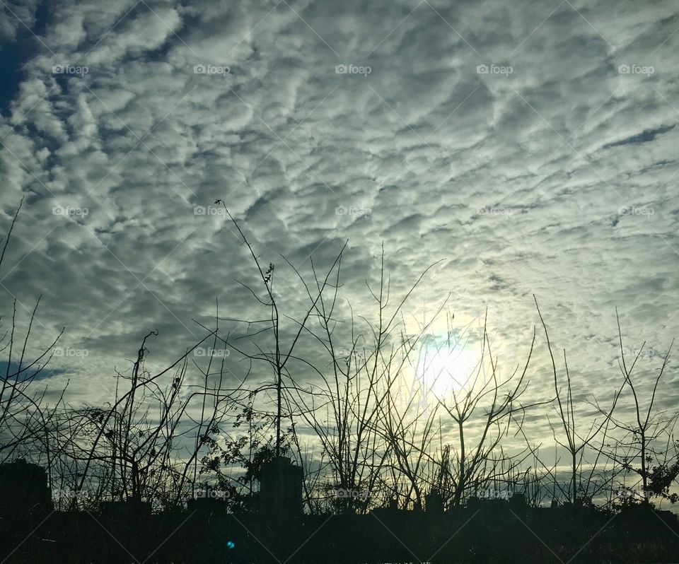 Beauty nyc sky in cloudy sky