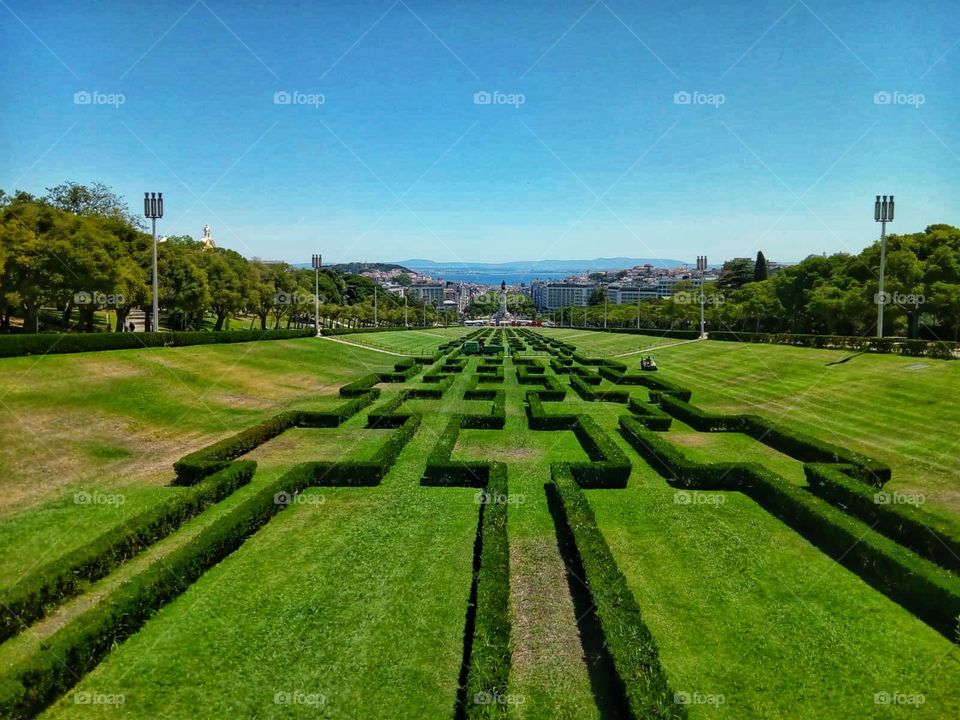 green maze in the town