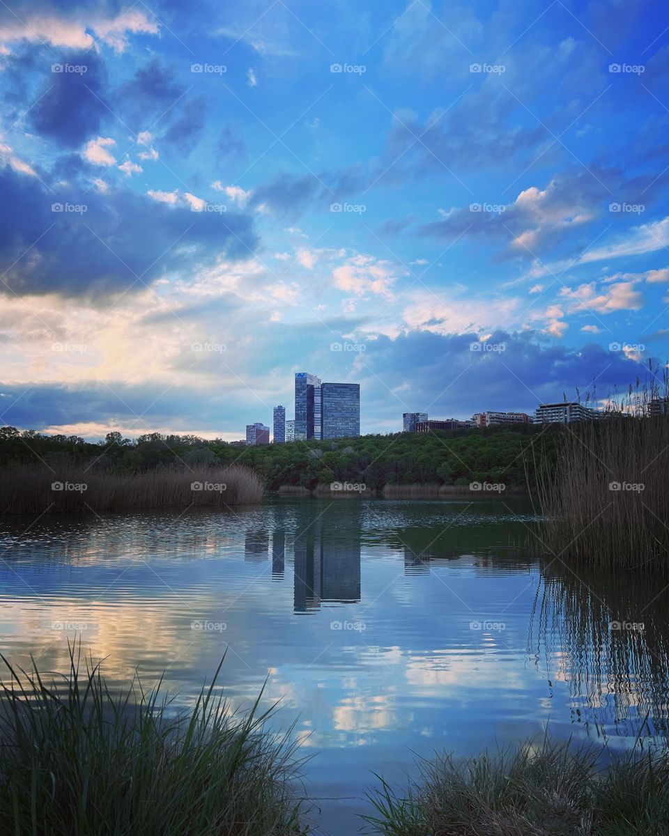 Lake in Vienna