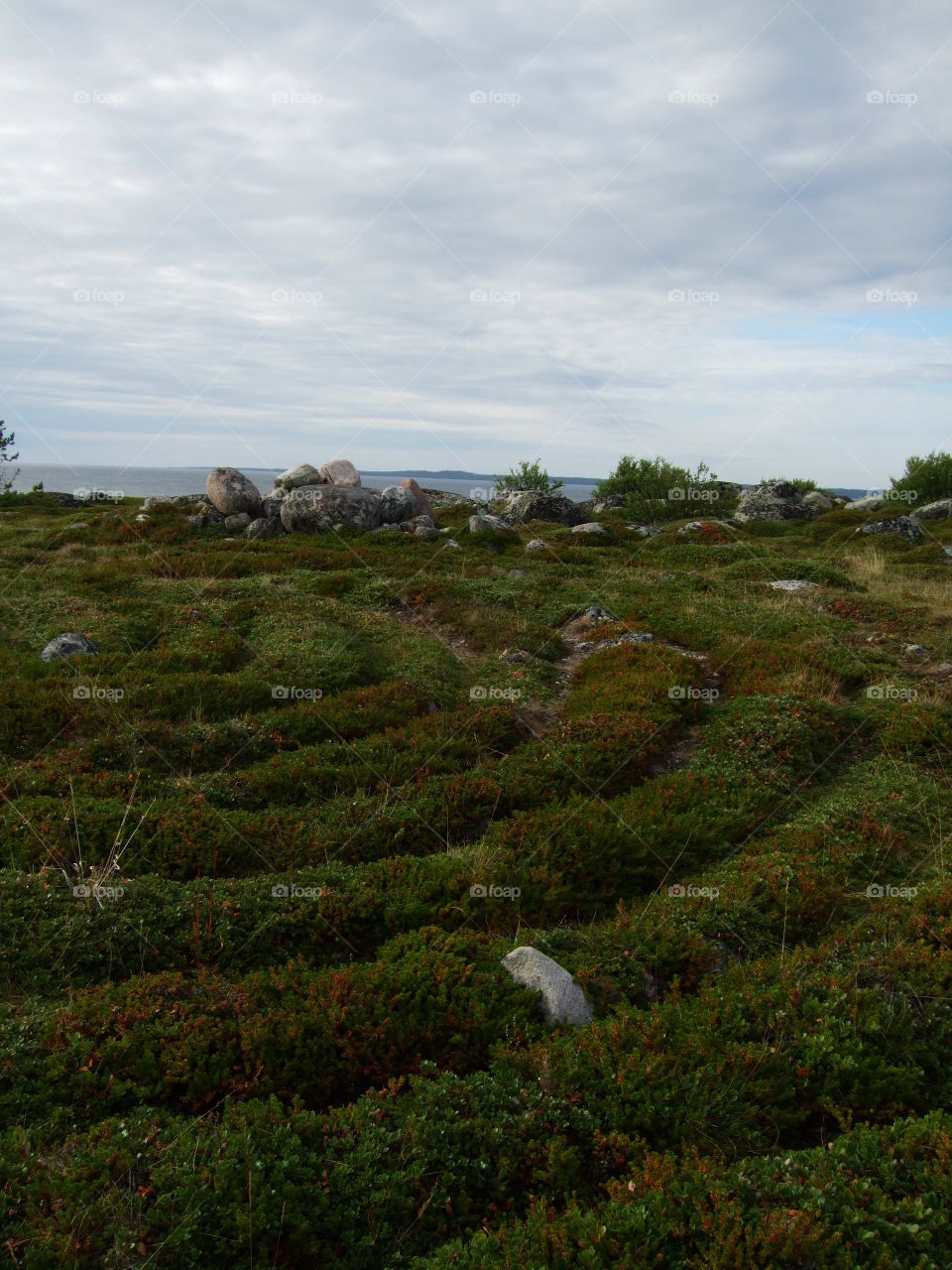 trip to to Russia and Solovki-2011