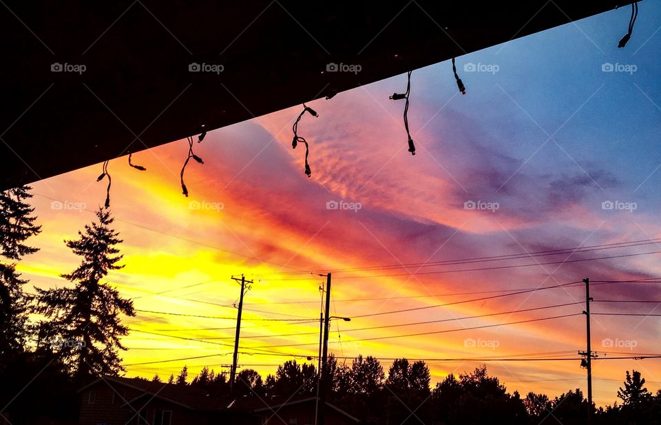 Beauty Through Wires 