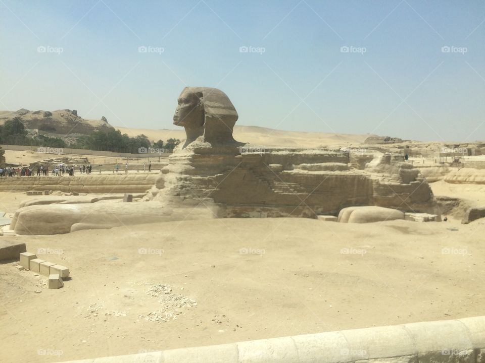 The Sphinx @ Egypt