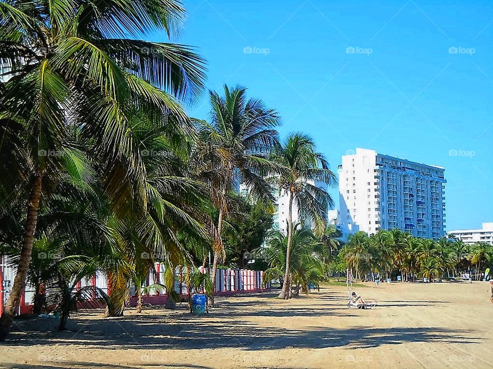 Beach in Isla Verde Puerto Rico