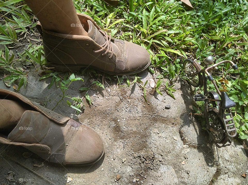 In the world of liliput