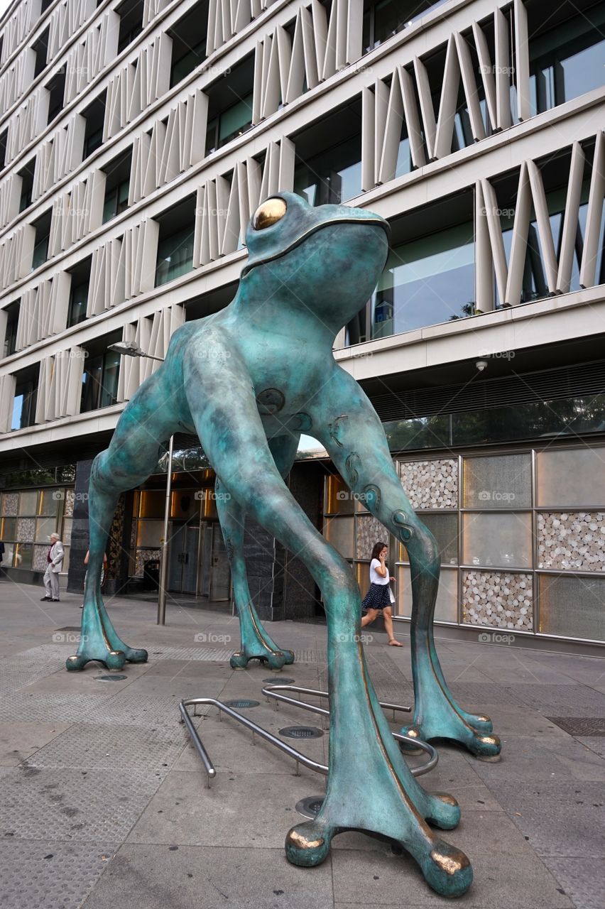 The Rana de la Fortuna (lucky frog) by dEmo, Madrid